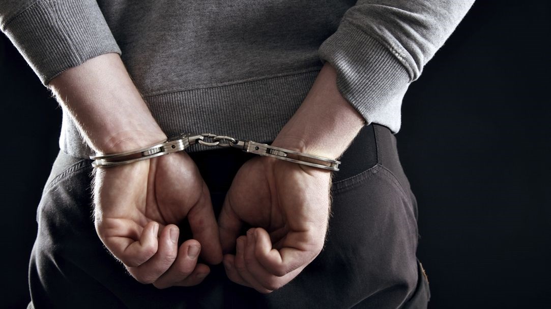 Συνελήφθη 21χρονος που μετέφερε κάνναβη με… γαϊδούρια
