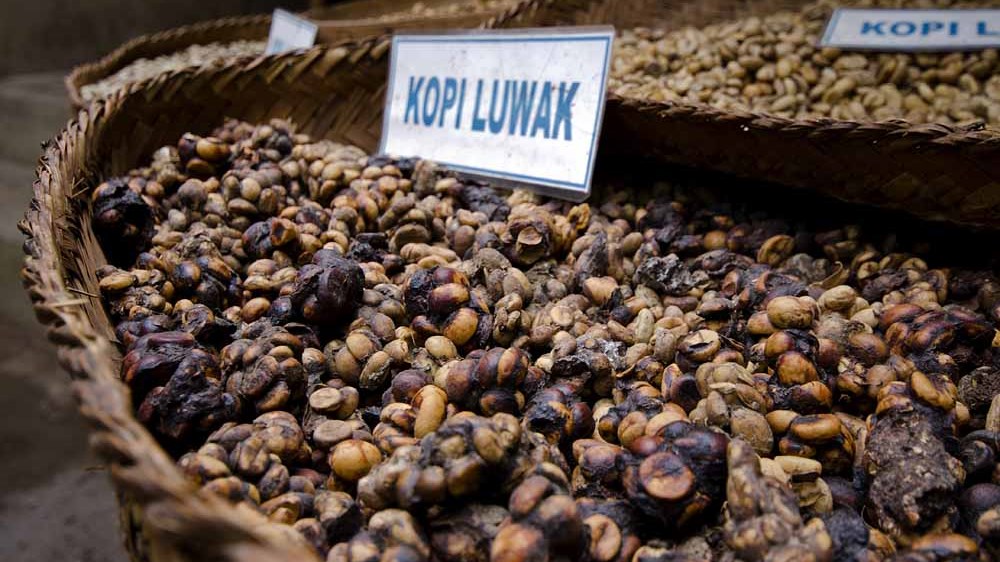 Πάρτε μία γεύση από τον ακριβότερο καφέ του κόσμου – ΦΩΤΟ