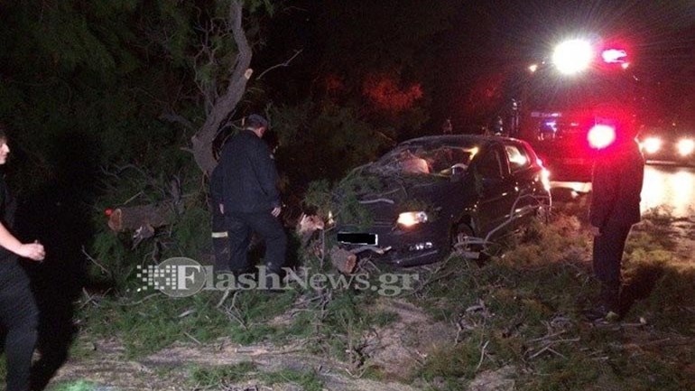 Χανιά: Δέντρο καταπλάκωσε διερχόμενο αυτοκίνητο στην εθνική οδό – ΦΩΤΟ
