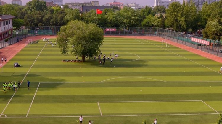 Ποδοσφαιρικό γήπεδο με ένα… δέντρο στο κέντρο του – ΦΩΤΟ