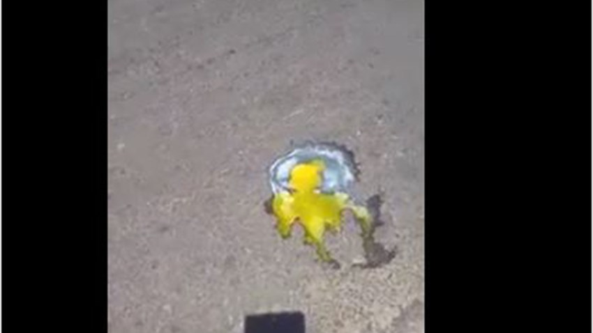 Χανιά: Έψησε αυγό μάτι στην… άσφαλτο – ΒΙΝΤΕΟ