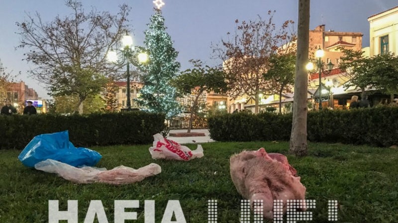 Πέταξαν γουρουνοκεφαλή έξω από το Δημαρχείο Πύργου – ΦΩΤΟ