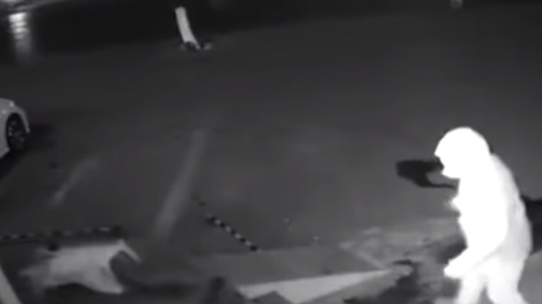 Το διαδίκτυο αναρωτιέται: Είναι αυτοί οι πιο χαζοί διαρρήκτες; – ΒΙΝΤΕΟ