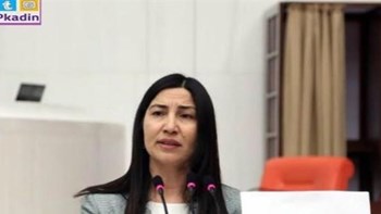 Τουρκάλα πρώην βουλευτής πέρασε παράνομα στον Έβρο – ΒΙΝΤΕΟ