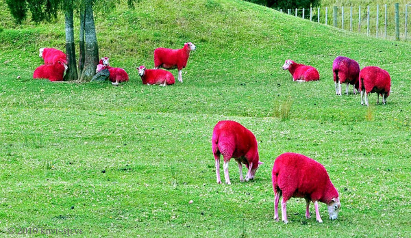 Πρωτότυπη καμπάνια για τον καρκίνο του μαστού