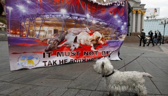 Καίνε ζωντανά σκυλιά