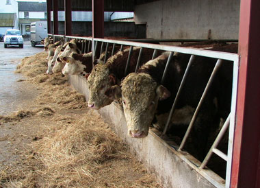 ΔΕΗ…το μεγαλείο σου