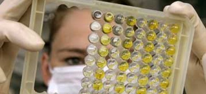 Κρούσμα γρίπης των πτηνών στην Κύπρο;