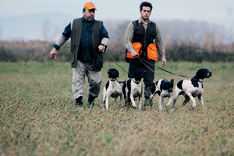 Κυνηγός εναντίον κυνηγών