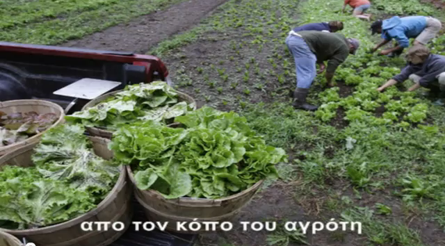 Mάνατζερ από κούνια