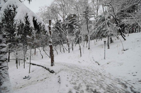 Σοβαρά προβλήματα