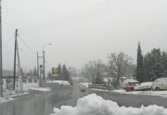 Παράλυσε την Χαλκιδική ο χιονιάς