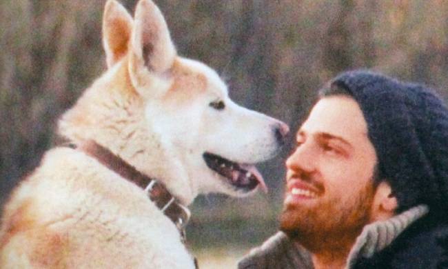 Σε ποιόν ανήκει ο σκύλος;