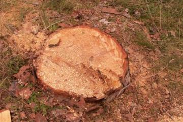 Θα ενδιαφερθεί κανείς;