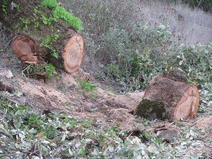 Τίποτα δε θα μείνει όρθιο