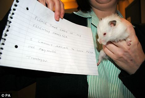 Το πιο αθώο θύμα της κρίσης