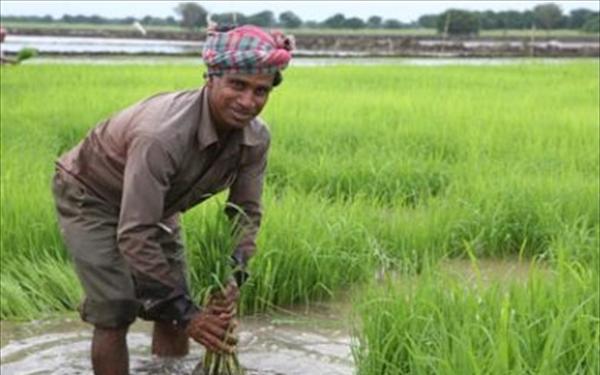 Ελλάδα, όπως… Αιθιοπία