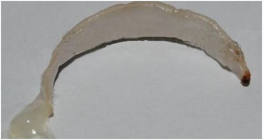 Έσπασε το αυγό και βρήκε…