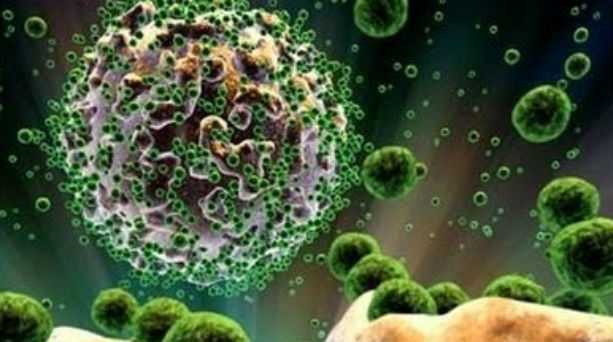 Γερμανία. Χτύπησε ιός