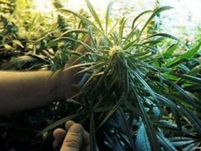 Ξανασφάζονται!