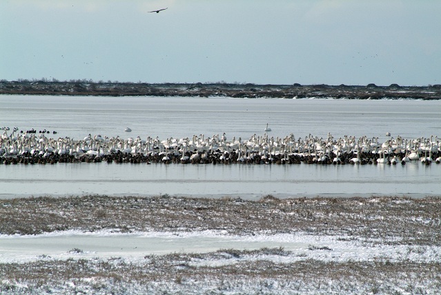 Παγκόσμια Ημέρα Υγροτόπων