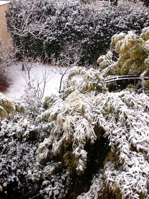 Ο χιονισμένος κήπος της…