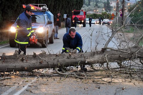 Επί ποδός η πυροσβεστική