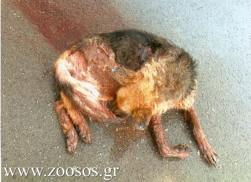 Oσο υπάρχουν απάνθρωποι