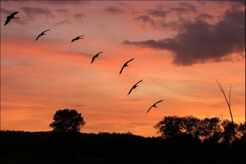 Φρίκη!8 φορές δολοφόνος