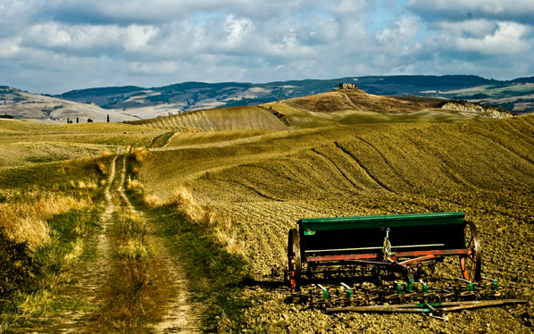 Που πήγε η γεωργία μας… οεο;