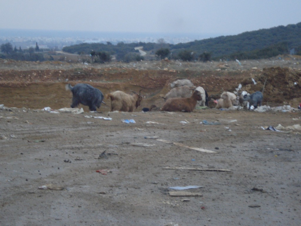 Εικόνες σοκ!