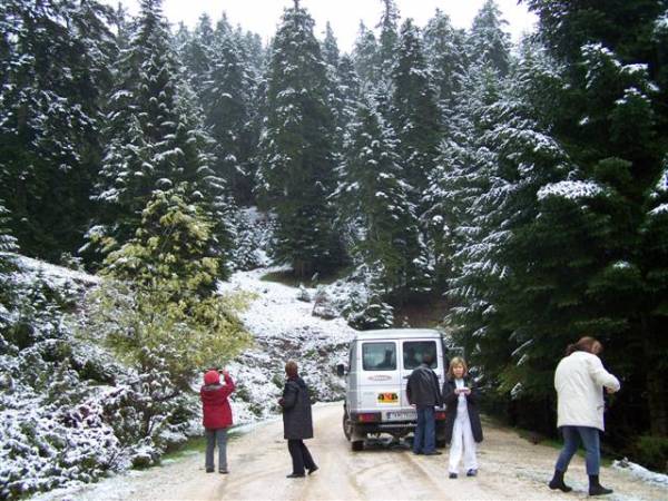 Άλπεις …Τρικάλων