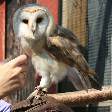 Κακός συγχρονισμός
