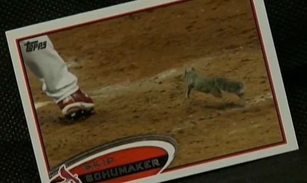 600 δολλάρια για μια κάρτα;