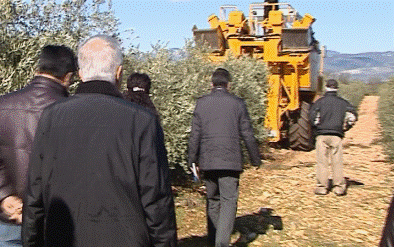 Μας έβγαλαν το λάδι.Στην Κίνα