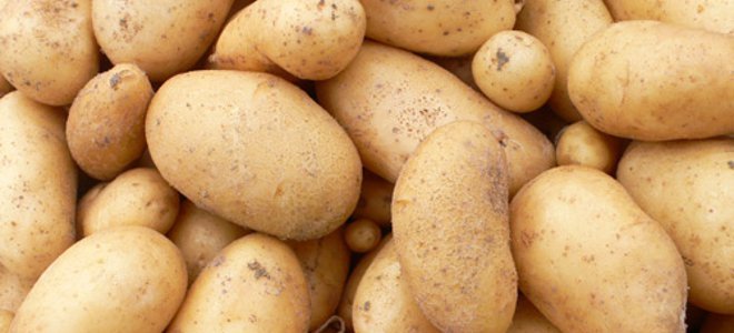 Η μάχη της… πατάτας