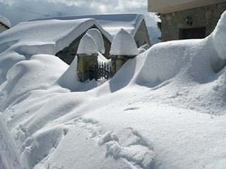 Τον ξέθαψαν και ζει