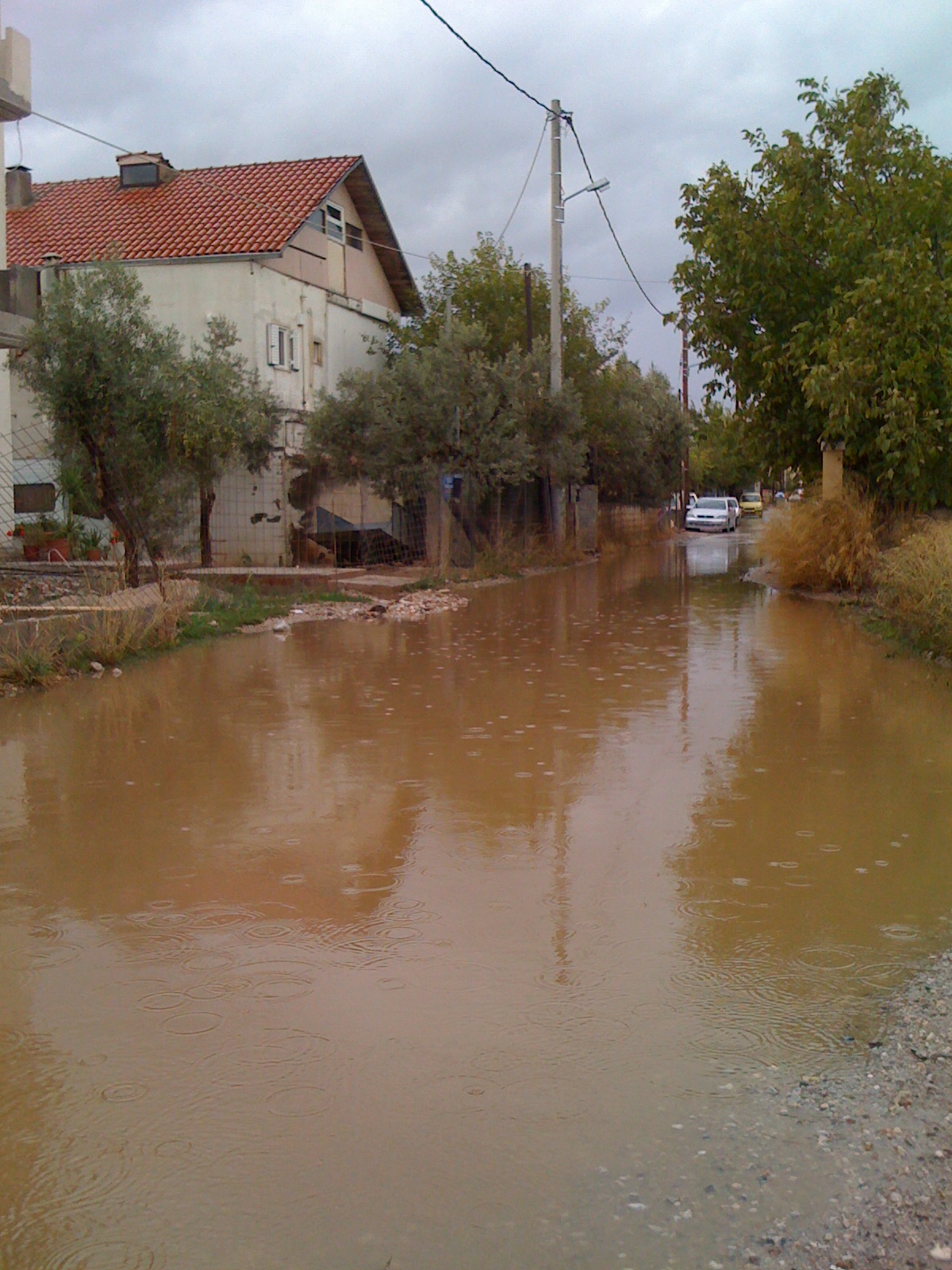 Καταγγελία αναγνώστη