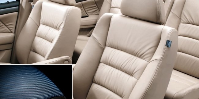 Χαιδέψτε το και…δυναμώνει!