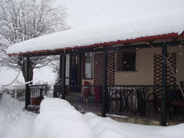 Όταν η φύση έχει…κέφια