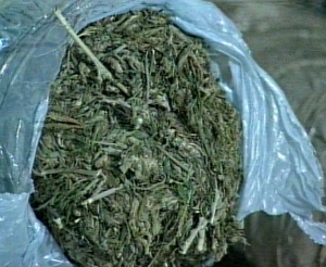 Για πάμε μέσα…