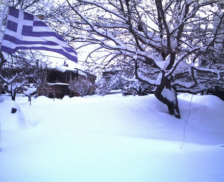 SOS από τα Γρεβενά