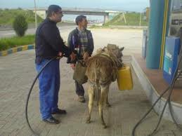 Η κρίση των γαϊδάρων