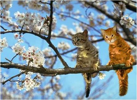 Ο καιρός σήμερα