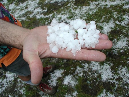 Τρέμουν για τις σοδειές τους