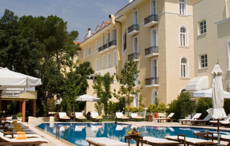 Ελεύθερο πουλί