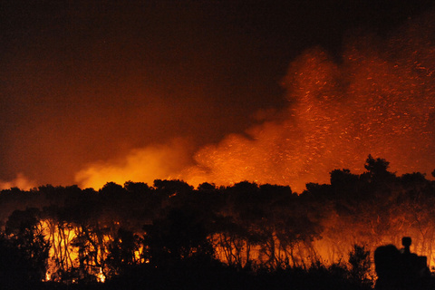 Έρευνα- σοκ για τις πυρκαγιές