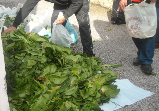 Μοίρασαν μαρούλια