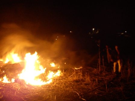 Τώρα- Υπό μερικό έλεγχο η φωτιά