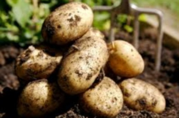 Νευροκόπι και στον Βύρωνα